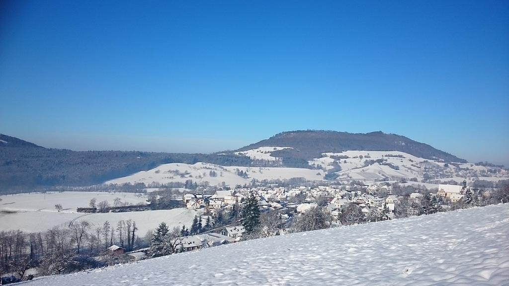 Familien Themen-Appartement Freiburg In Soelden 2 Schlafzimmer ภายนอก รูปภาพ