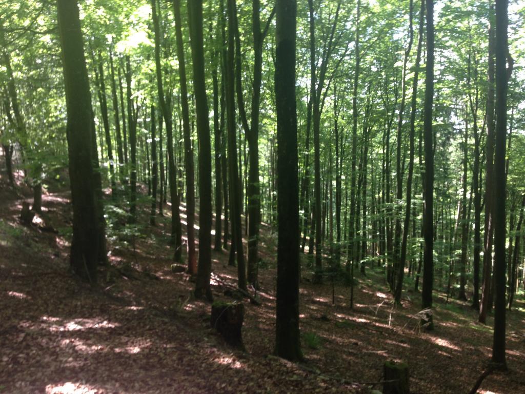 Familien Themen-Appartement Freiburg In Soelden 2 Schlafzimmer ภายนอก รูปภาพ